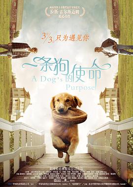 亚洲欧洲精品一区二区三区
